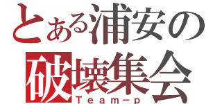 とある浦安の破壊集会（Ｔｅａｍ－ｐ）