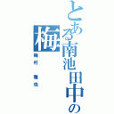 とある南池田中の梅（梅村 雅也）