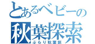 とあるベビーの秋葉探索（ぶらり秋葉旅）