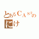 とあるＣＡＳ主のにけ（）