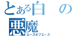 とある白の悪魔（エースオブエース）