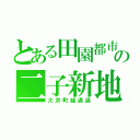 とある田園都市線の二子新地駅ファン（大井町線通過）