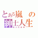 とある嵐の紳士人生（此人已成神）