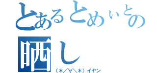 とあるとめぃとぅーの晒し（（＊／∀＼＊）イヤン）