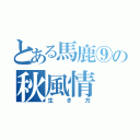 とある馬鹿⑨の秋風情（生き方）