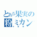 とある果実の粉ミカン（小並感）