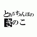 とあるちんぽのきのこ（）