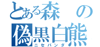 とある森の偽黒白熊（ニセパンダ）