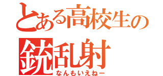 とある高校生の銃乱射（なんもいえねー）