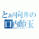 とある向井の口内飴玉（あめころがし）