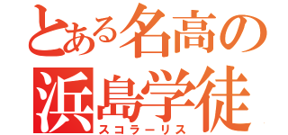 とある名高の浜島学徒（スコラーリス）