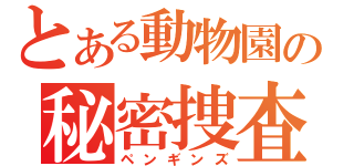 とある動物園の秘密捜査官（ペンギンズ）