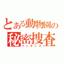 とある動物園の秘密捜査官（ペンギンズ）