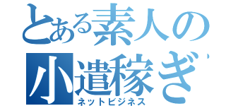 とある素人の小遣稼ぎ（ネットビジネス）