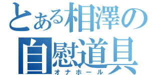 とある相澤の自慰道具（オナホール）