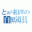 とある相澤の自慰道具（オナホール）