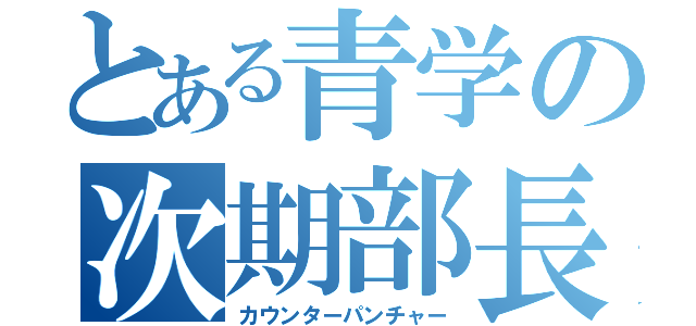 とある青学の次期部長（カウンターパンチャー）