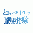 とある極中生の職場体験（チャレンジ体験）