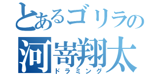 とあるゴリラの河嵜翔太（ドラミング）