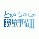 とあるもやしの栽培事情Ⅱ（モヤシイクセイ）