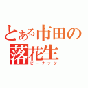 とある市田の落花生（ピーナッツ）