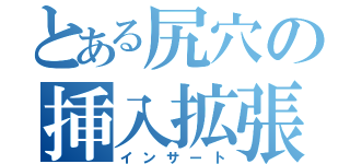 とある尻穴の挿入拡張（インサート）