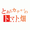 とあるカテサイのトマト畑（精液栽培）