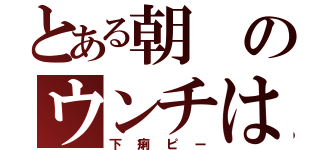 とある朝のウンチは（下痢ピー）