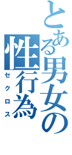 とある男女の性行為（セクロス）