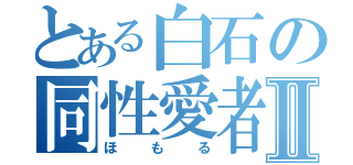 とある白石の同性愛者Ⅱ（ほもる）