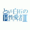 とある白石の同性愛者Ⅱ（ほもる）