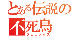 とある伝説の不死鳥（フェニックス）