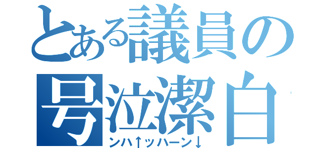 とある議員の号泣潔白（ンハ↑ッハーン↓）