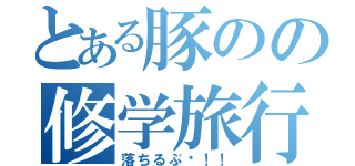 とある豚のの修学旅行（落ちるぶ〜！！）