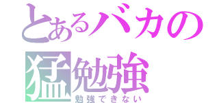 とあるバカの猛勉強（勉強できない）