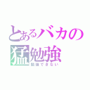 とあるバカの猛勉強（勉強できない）