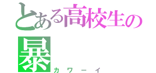 とある高校生の暴       走（カワーイ）