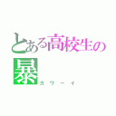 とある高校生の暴       走（カワーイ）