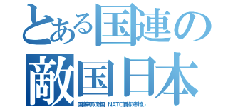 とある国連の敵国日本（国連条項で敵国。ＮＡＴＯ価格３割増し）