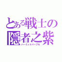 とある戦士の隠者之紫（ハーミットパープル）