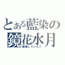 とある藍染の鏡花水月（錯覚していた？）