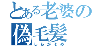 とある老婆の偽毛髪（しらがぞめ）