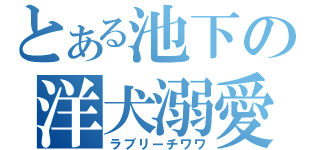 とある池下の洋犬溺愛（ラブリーチワワ）