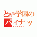 とある学園のパイナップル（インデックス）