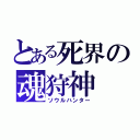 とある死界の魂狩神（ソウルハンター）