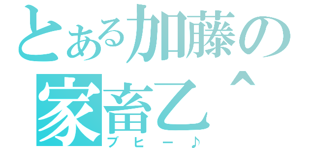 とある加藤の家畜乙＾＾（ブヒー♪）