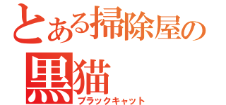 とある掃除屋の黒猫（ブラックキャット）