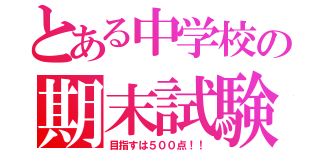 とある中学校の期末試験（目指すは５００点！！）