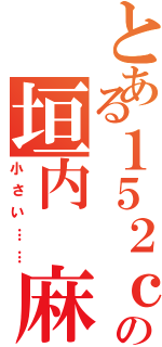 とある１５２ｃｍの垣内 麻里（小さい……）