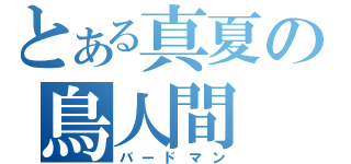 とある真夏の鳥人間（バードマン）